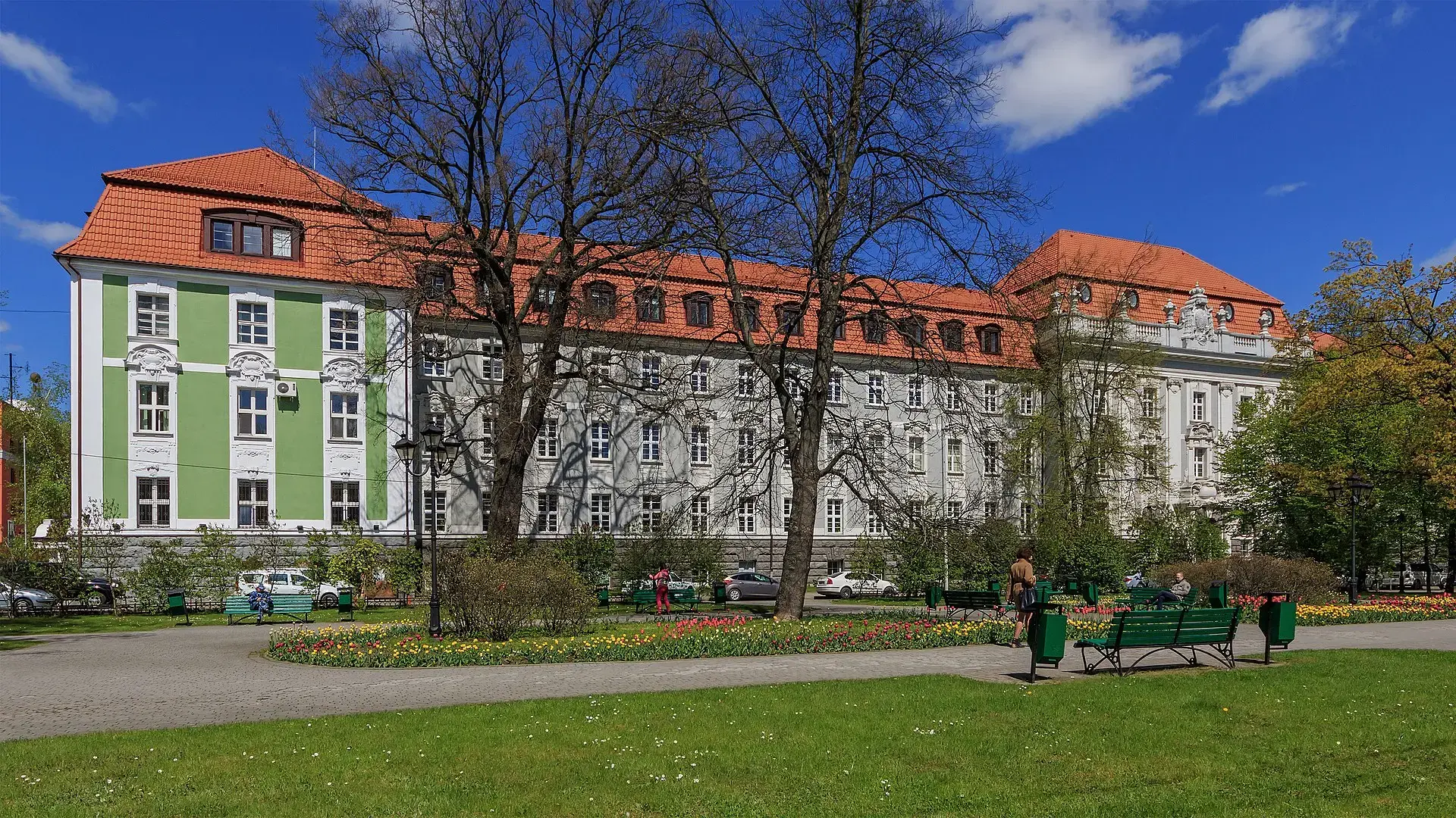 Наши знаменитости